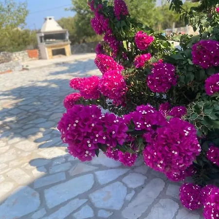 Yulie's Orama Apartmán Areopoli