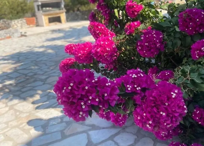 Yulie's Orama דירה אראופוליס